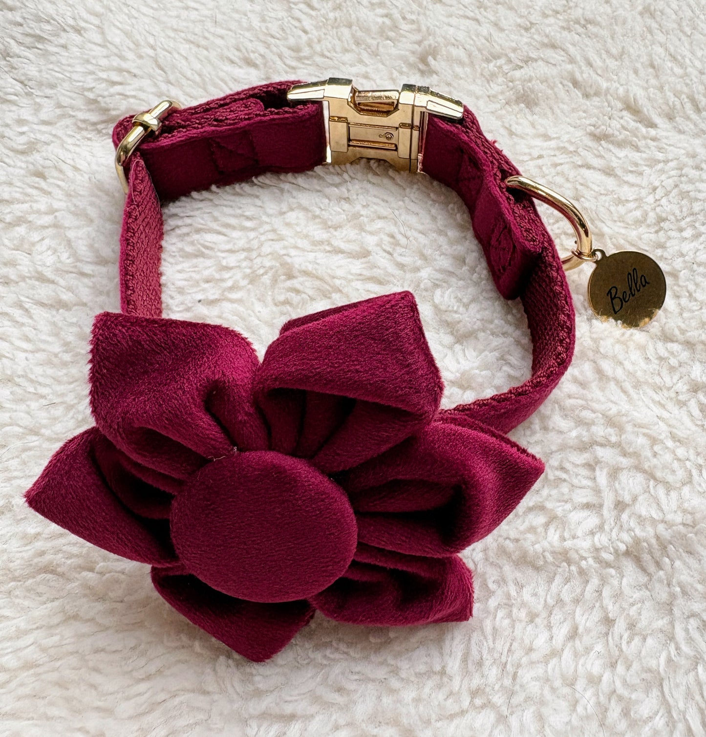 ✨Coffret personnalisé pour chien – Collier velours bordeaux avec fleur et médaillon gravé + laisse bijou + patère gravée à la main – Cadeau chic prêt à offrir ✨