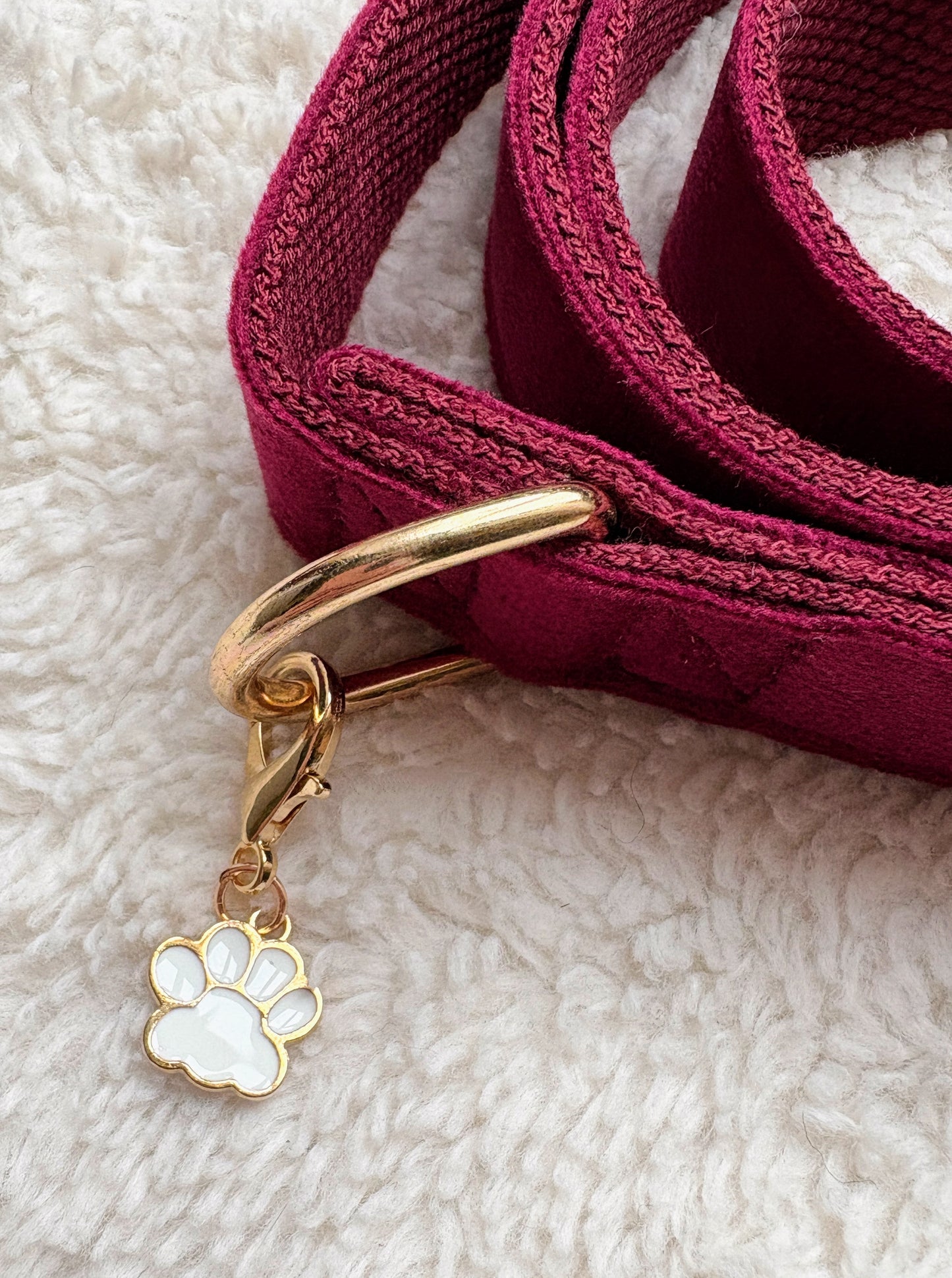 ✨Coffret personnalisé pour chien – Collier velours bordeaux avec fleur et médaillon gravé + laisse bijou + patère gravée à la main – Cadeau chic prêt à offrir ✨