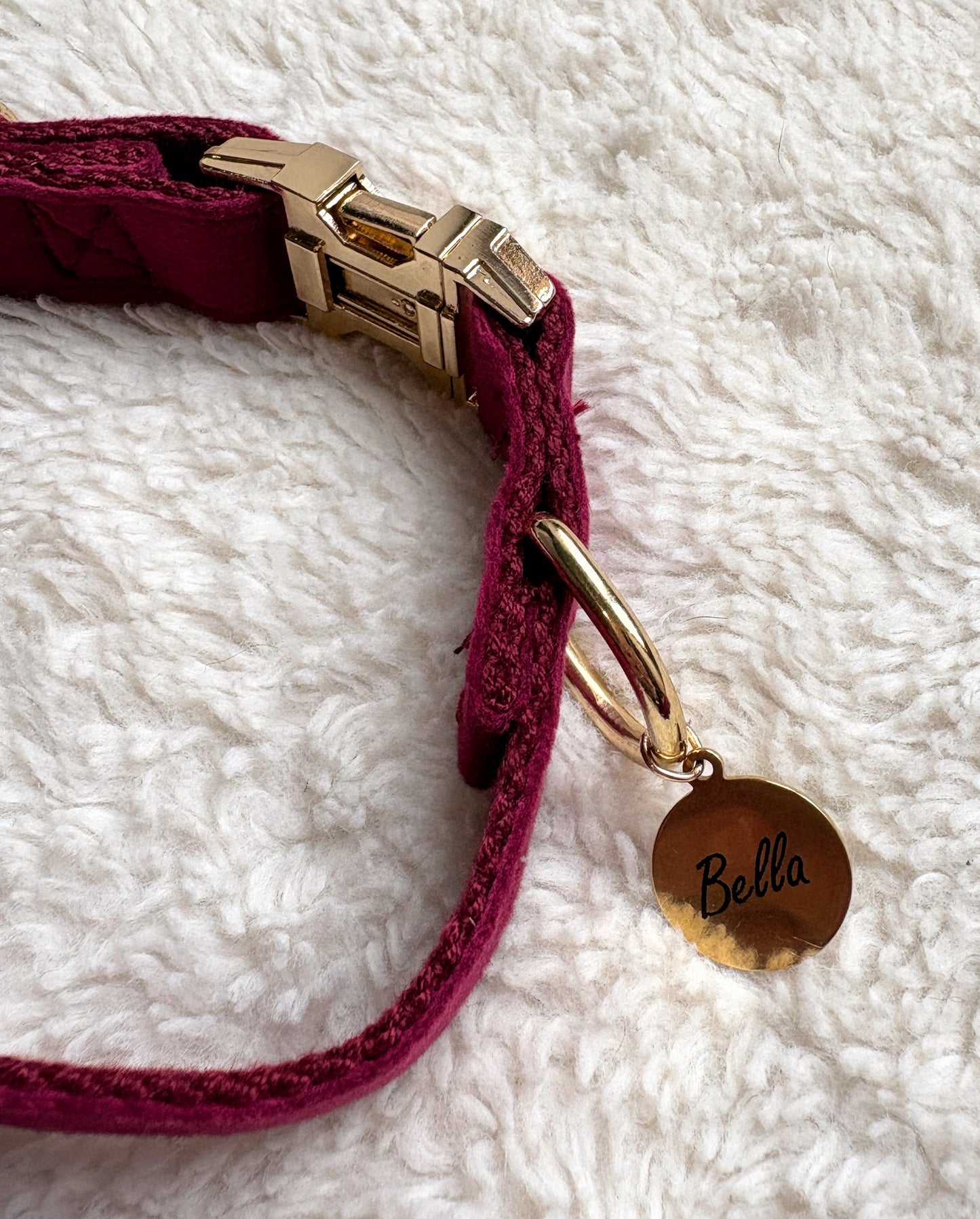 ✨Coffret personnalisé pour chien – Collier velours bordeaux avec fleur et médaillon gravé + laisse bijou + patère gravée à la main – Cadeau chic prêt à offrir ✨