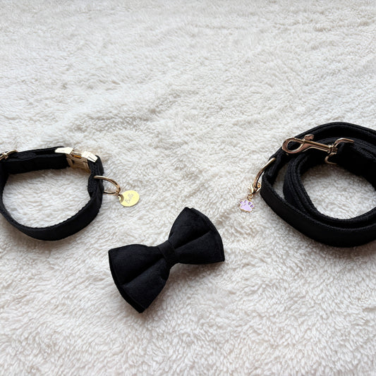 ✨Coffret personnalisé pour chien – Collier velours noir avec nœud papillon et médaillon gravé + laisse bijou + patère gravée à la main – Cadeau chic prêt à offrir ✨