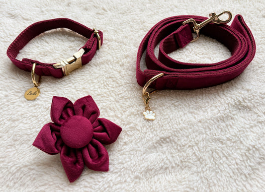 ✨Coffret personnalisé pour chien – Collier velours bordeaux avec fleur et médaillon gravé + laisse bijou + patère gravée à la main – Cadeau chic prêt à offrir ✨