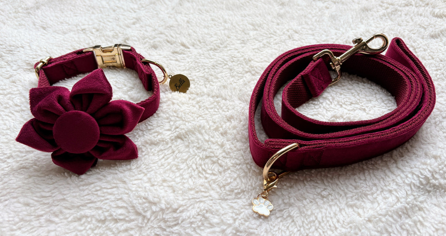 ✨Coffret personnalisé pour chien – Collier velours bordeaux avec fleur et médaillon gravé + laisse bijou + patère gravée à la main – Cadeau chic prêt à offrir ✨