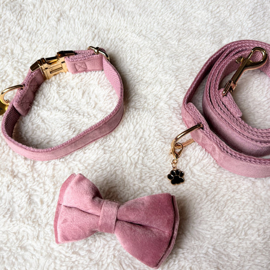 ✨Coffret personnalisé pour chien – Collier velours couleur lilas avec nœud papillon et médaillon gravé + laisse bijou + patère gravée à la main – Cadeau chic prêt à offrir ✨