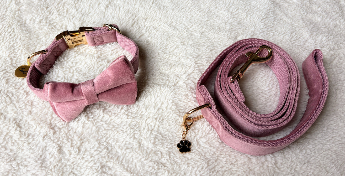 ✨Coffret personnalisé pour chien – Collier velours couleur lilas avec nœud papillon et médaillon gravé + laisse bijou + patère gravée à la main – Cadeau chic prêt à offrir ✨