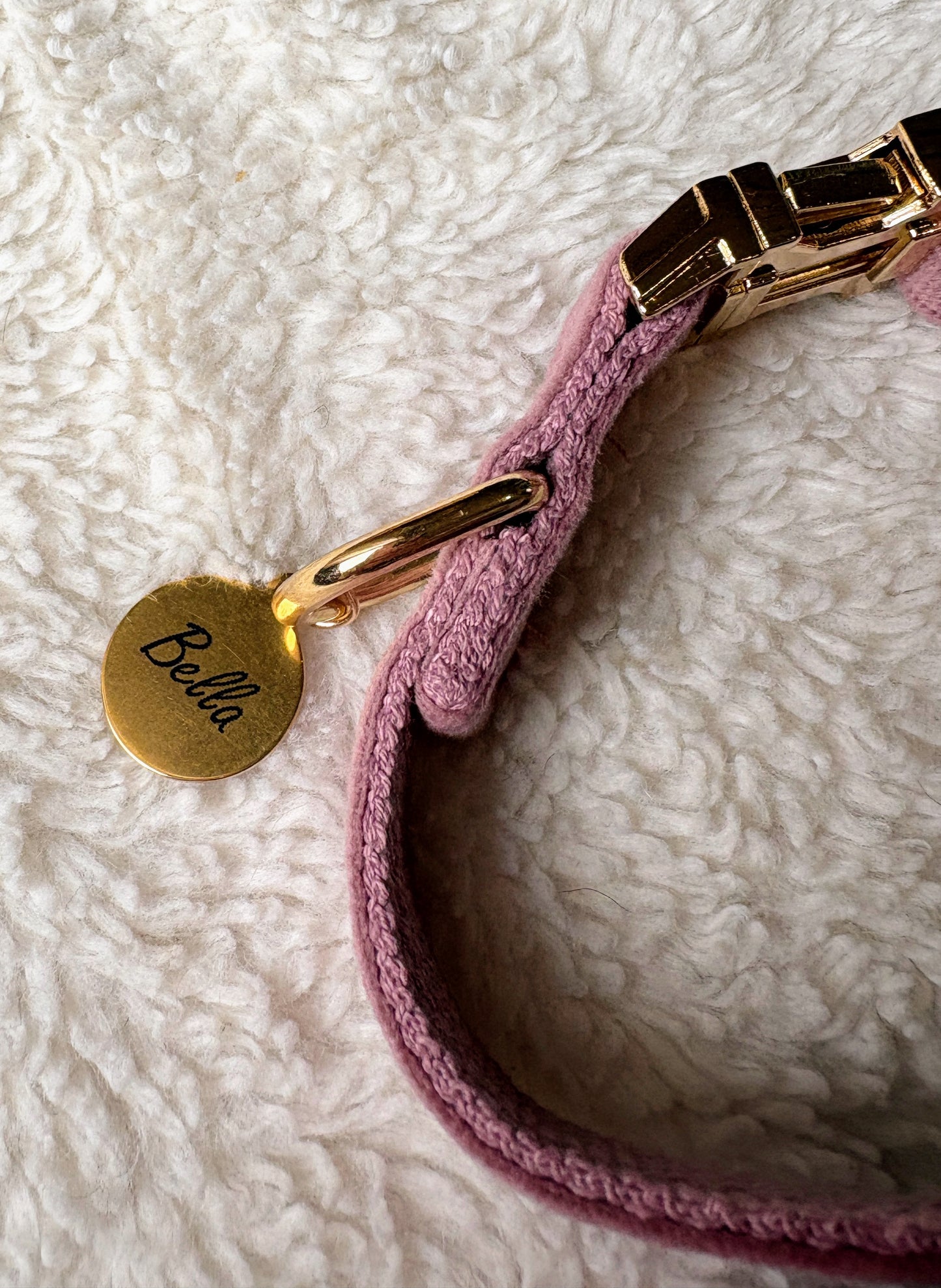 ✨Coffret personnalisé pour chien – Collier velours couleur lilas avec nœud papillon et médaillon gravé + laisse bijou + patère gravée à la main – Cadeau chic prêt à offrir ✨