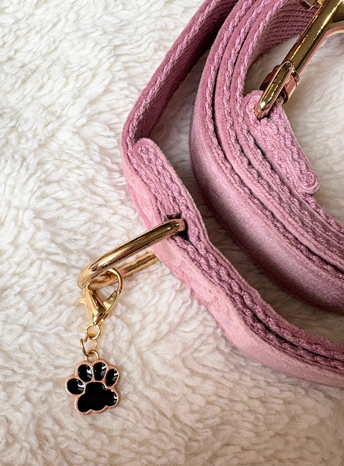 ✨Coffret personnalisé pour chien – Collier velours couleur lilas avec nœud papillon et médaillon gravé + laisse bijou + patère gravée à la main – Cadeau chic prêt à offrir ✨
