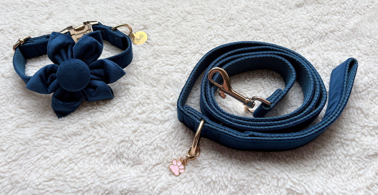 ✨Coffret personnalisé pour chien – Collier velours bleu avec fleur et médaillon gravé + laisse bijou + patère gravée à la main – Cadeau chic prêt à offrir ✨